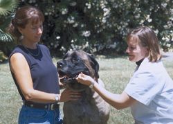 Photo of mastiff and Veterinary Genetics Lab director and assistant