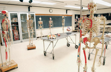 anatomy class photo