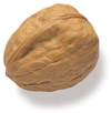 walnut photo