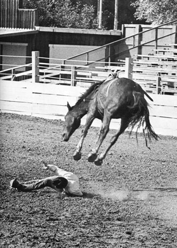 Photo: rodeo