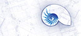 Illustration: nautilus shell over architect's blueplan