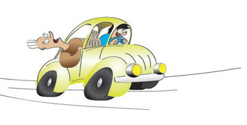 Illustration: Car with wild-eyed dad leaning head out back window and young eager driver