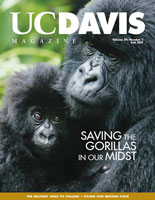 cover photo: baby gorilla hugging mother