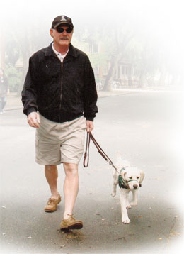 Photo: Author walking guide-dog-in-training