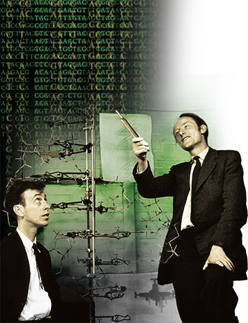 photo illustration of James Watson and Frances Crick with DNA model and streams of repeating letters A, G, C and T, representing the four molecules at the heart of DNA