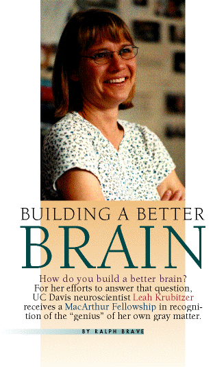 Building a Better Brain