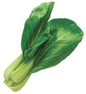 lettuce photo