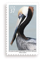 Pelican stamp