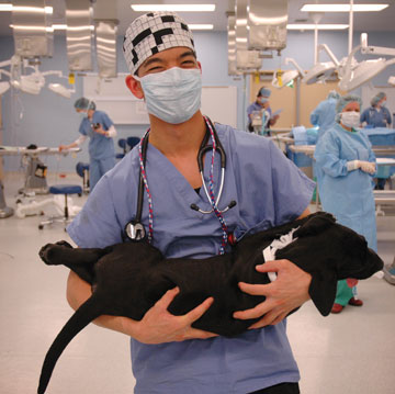 Photo: Animal care