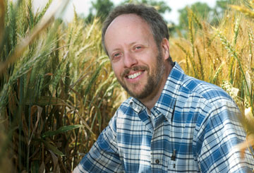 Photo: Lowe in a wheat field