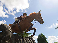 Photo: rider and horse jumping 