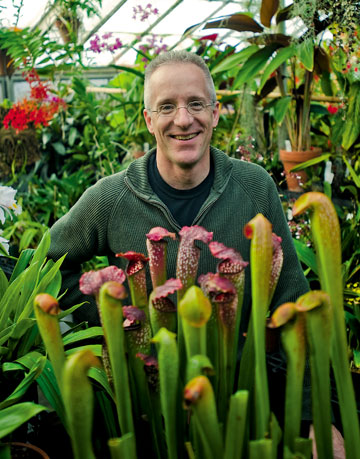 Carnivorous plants aren't as cool as you think